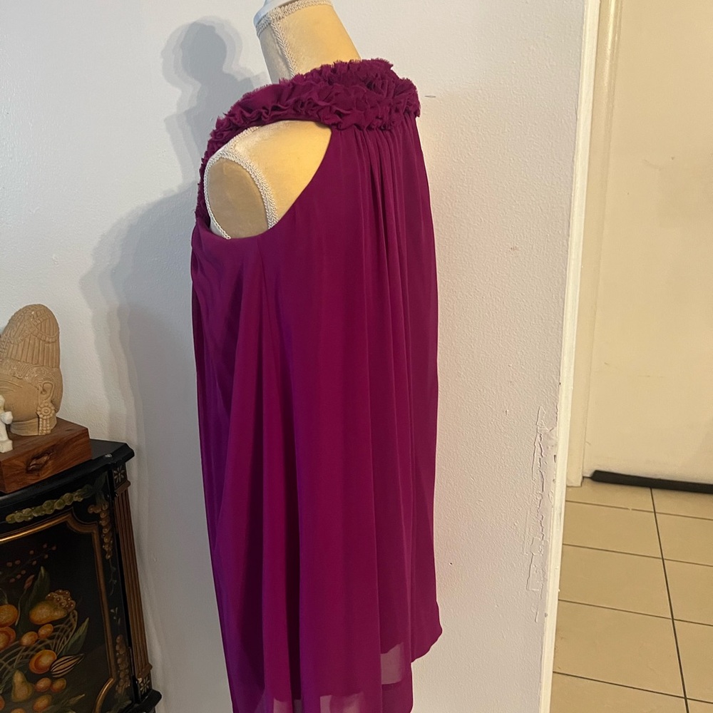 Magenta Ruffled Dress - Picture 3 of 3